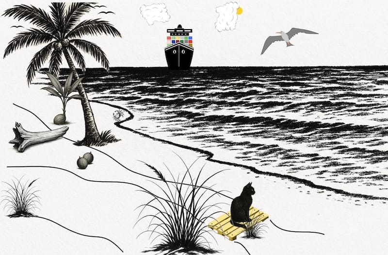 decorative image; sea, beach, boat, palm tree, black cat