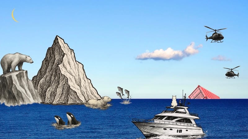 decorative image: sea, icebergs, polar bears, sunken container and helicopters and a white cat seen from behind