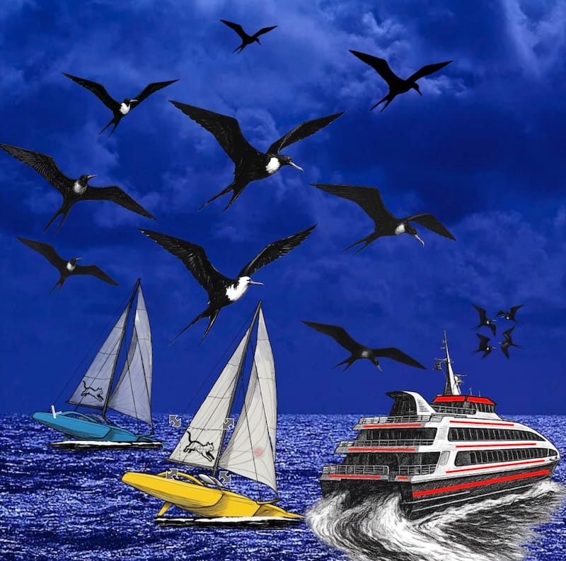 decorative picture: Against a backdrop of Caribbean seabirds, two trimarans were running against each other near a passenger ferry.